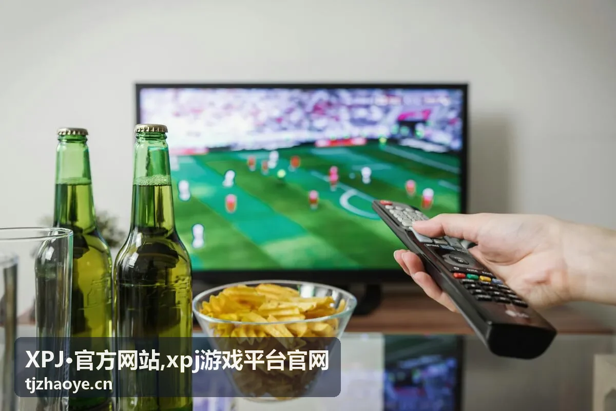 XPJ·官方网站平台界面示意图