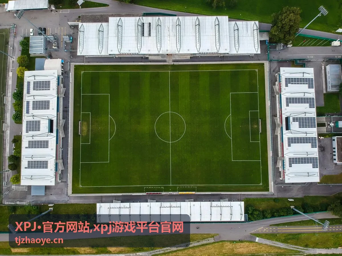 XPJ·官方网站内容预览示意图